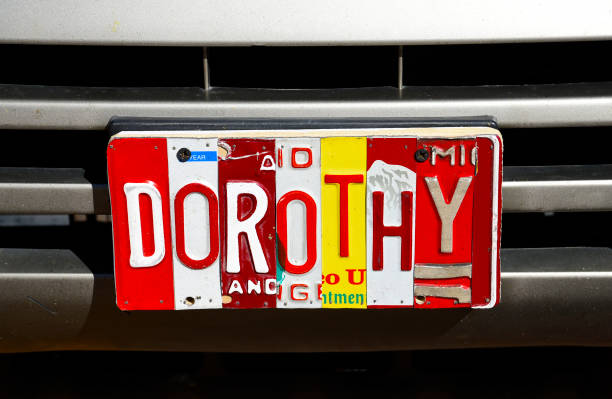 istock Dorothy novelty license plate 1073285564