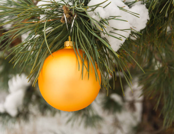 istock Golden Christmas tree ball on a snow-covered tree branch 1073286358