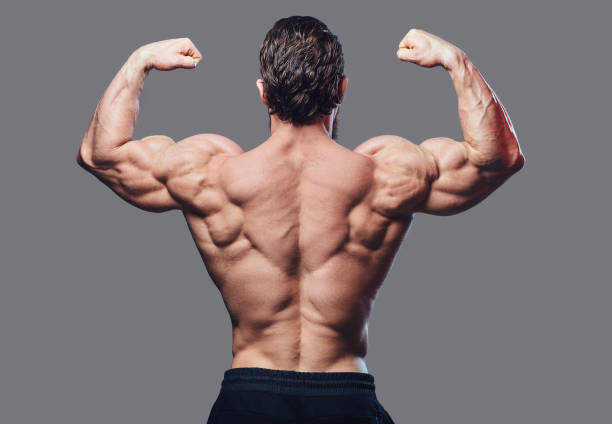 Image of a bodybuilder from a back. stock photo