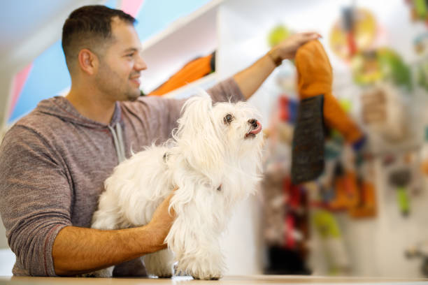 istock Man shopping clothes for his dog 1073307542