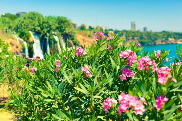 Photo of View of Duden waterfall in Antalya