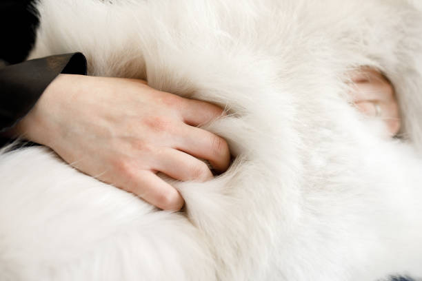 istock Woman hugging her dog 1073307946