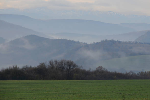 istock Foggy Rural Landscape 1073309954