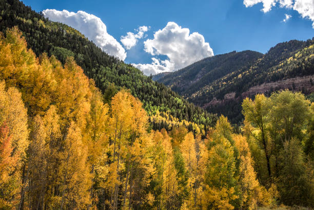 istock Autumn aspens above Telluride 1073317074