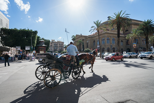 Palermo, Sicily , Italy - November 5, 2018: Man riding in a horse drawn carriage in a square next to Teatro Massimo