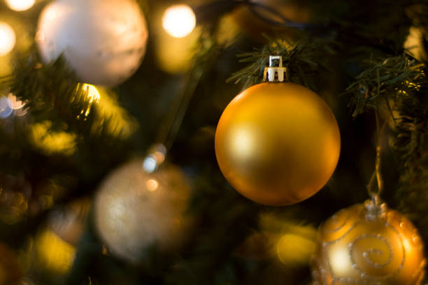 istock Christmas decorations on the branches fir, christmas background and lights. 1073323568