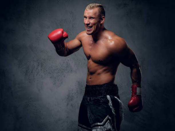 istock Shirtles boxer over grey background. 1073329560