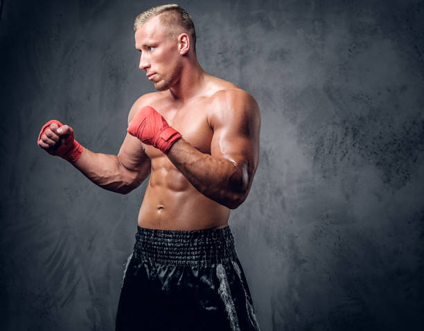 istock Shirtles boxer over grey background. 1073332816
