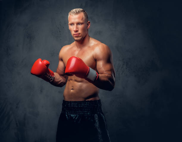 istock Shirtles boxer over grey background. 1073333660