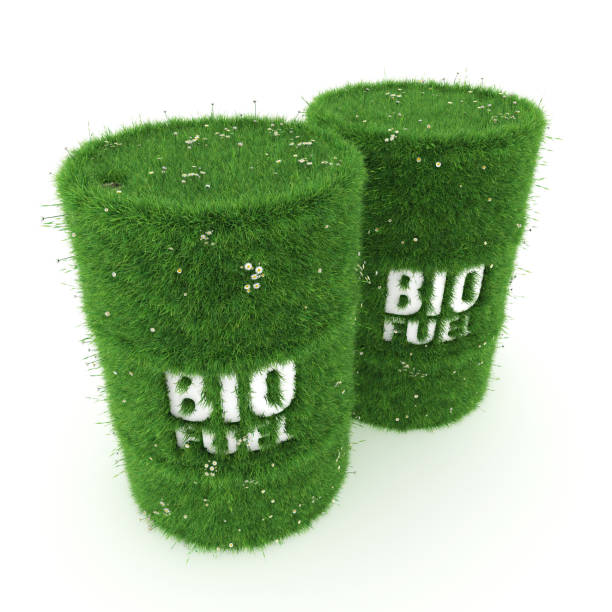 istock 3D rendering barrels of biofuels 1073333668