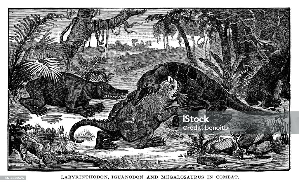 Labyrinthodon、イグアノドン、メガロサウルスの戦闘で - イラスト素材...