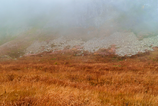 high mountainous autumn landscape with alpine meadow, stone scree and rocky cliffs hidden by cloud haze