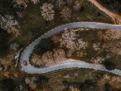 A road crossing a forest in autumn as seen from above