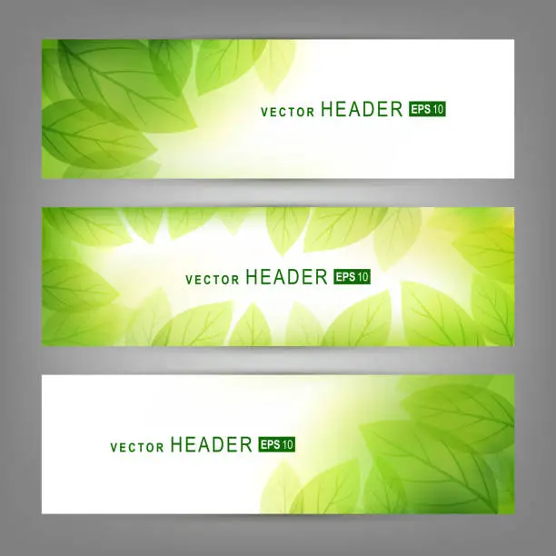 Vector illustration of Set of vector banners with fresh green leaves. Spring or summer nature background