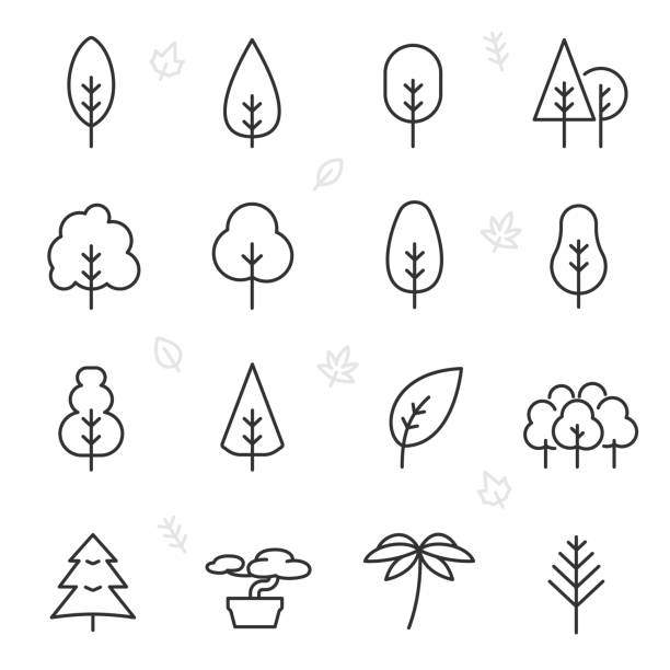 illustrations, cliparts, dessins animés et icônes de arbre, jeu d’icônes. arbres de différentes formes, icônes linéaires. la ligne barrée modifiable - forest tree pine pine tree