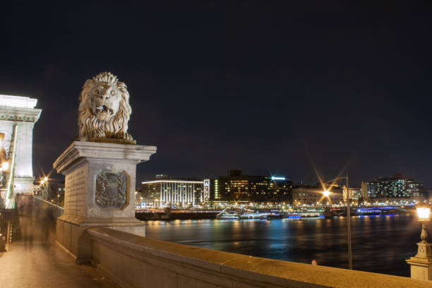 лев на цепной мост в будапеште, венгрия, на фоне парламента - chain bridge budapest bridge lion стоковые фото и изображения