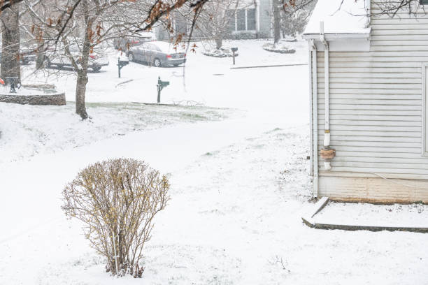 istock View from window on snowing weather, snowstorm, storm, oak tree branches covered in snow in backyard, front yard with houses, street, residential neighborhood, bushes, cars in Fairfax, Virginia 1073365872