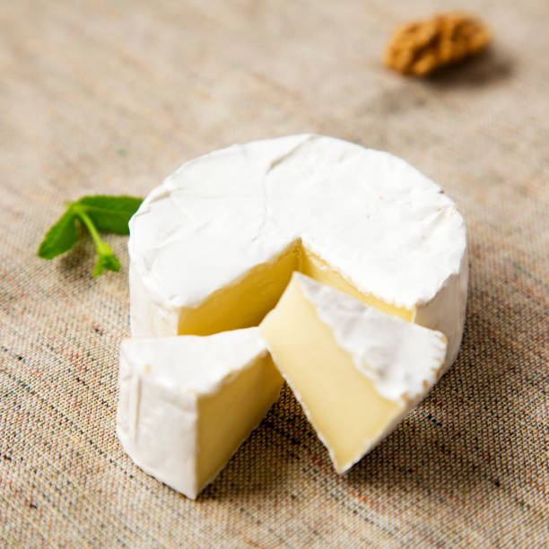 istock Cheese camembert with walnuts on cloth, closeup. Milk production. Side view. 1073368500