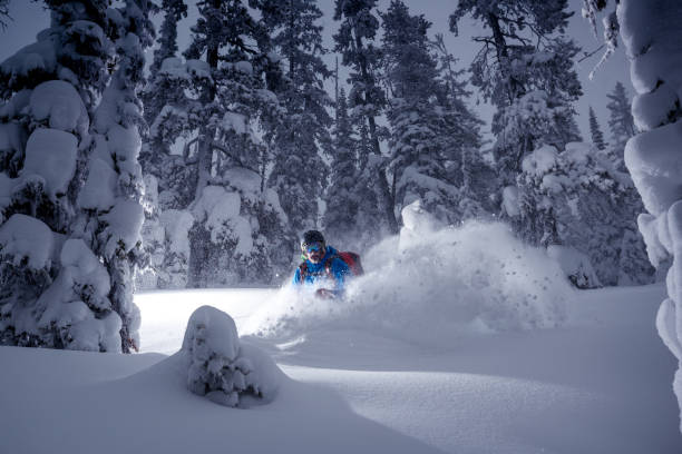 Strom skiing on a powder day Strom skiing on a powder day. ski resort flash stock pictures, royalty-free photos & images