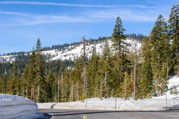 istock Remote Mountain Road With Plowed Snow Banks 1073402892