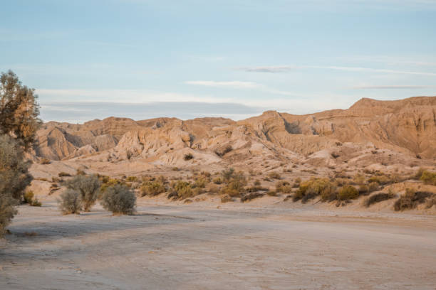 Desert Anza Borrego Desert State Park, CA desert wash stock pictures, royalty-free photos & images