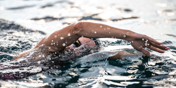istock Side view of female swimmer during a freestyle stroke 1073406280