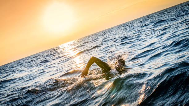 istock Swimming in the sea before sunset 1073406284