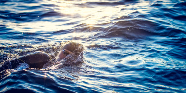 istock Swimming in a deep blue sea 1073406286