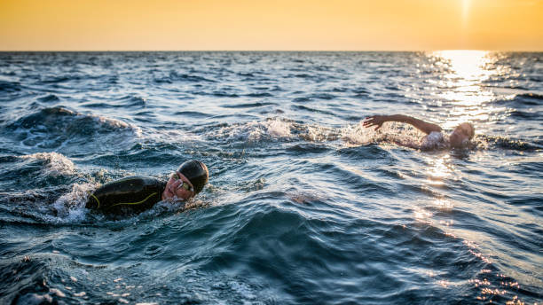 istock Two people swimming in a dark blue sea before sunset 1073406308