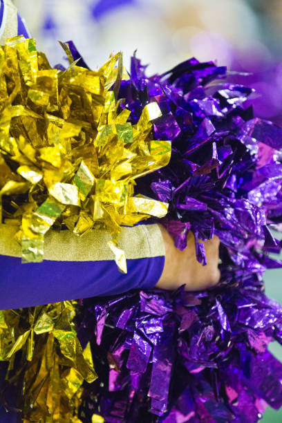 istock Purple and gold pom poms 1073410000