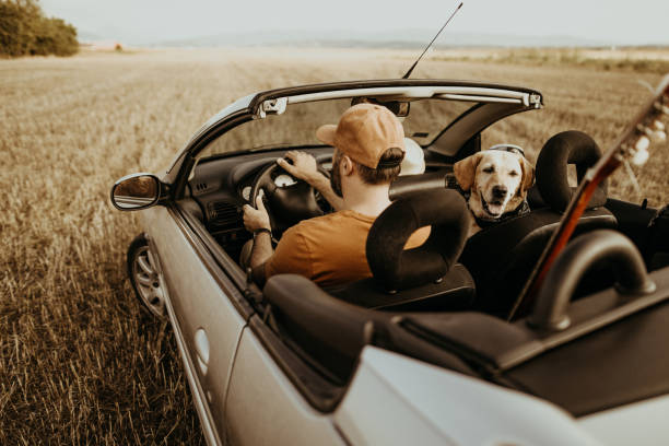 istock They always travel together 1073413474