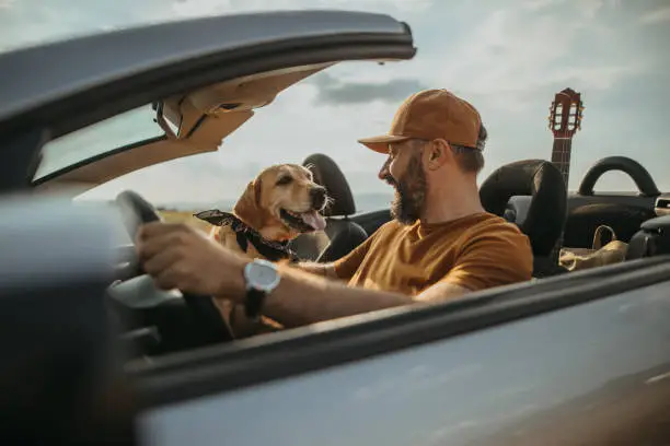 Photo of mature man traveling with his dog in a convertible
