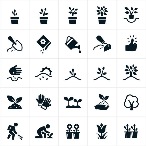 sadzenie i uprawa ikon - leaf human hand computer icon symbol stock illustrations