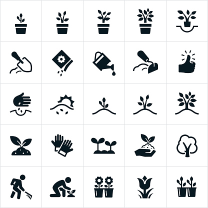 A set of icons representing planting, growing and cultivating of plants and trees. The icons include seeds, planting, plants, plants growing, trees growing, cultivation, watering, flowers, soil preparation and seedlings among others.