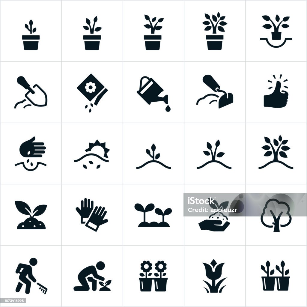 Planting and Growing Icons A set of icons representing planting, growing and cultivating of plants and trees. The icons include seeds, planting, plants, plants growing, trees growing, cultivation, watering, flowers, soil preparation and seedlings among others. Icon Symbol stock vector