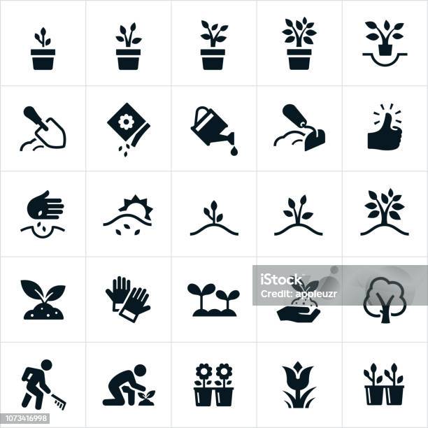 Planting And Growing Icons Stock Illustration - Download Image Now - Icon Symbol, Plant, Gardening