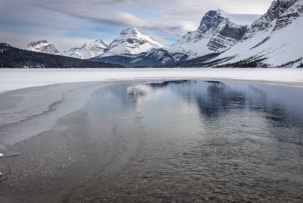 istock Bow Lake in Winter 1073417126