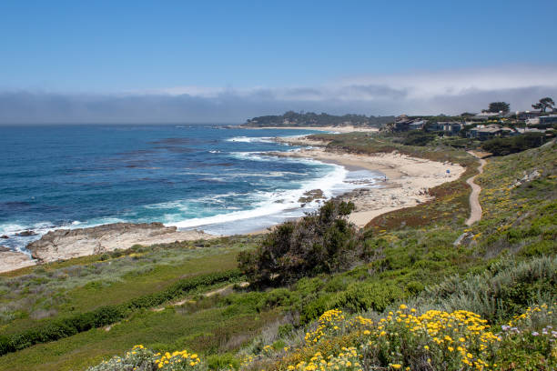 istock California Coastal Nature 1073427218