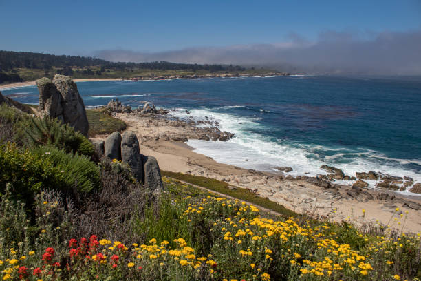 istock California Coastal Nature 1073427220