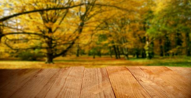 istock advertising space with wooden boards background 1073432338