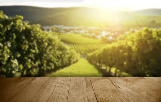 advertising space with wooden boards background