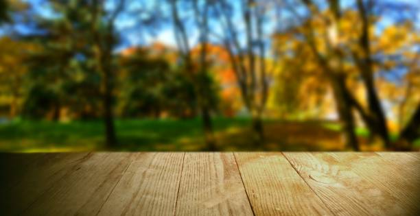 istock advertising space with wooden boards background 1073432368