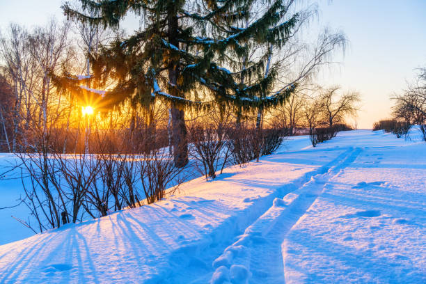 冬の田舎 - rural scene russia ski track footpath ストックフォトと画像