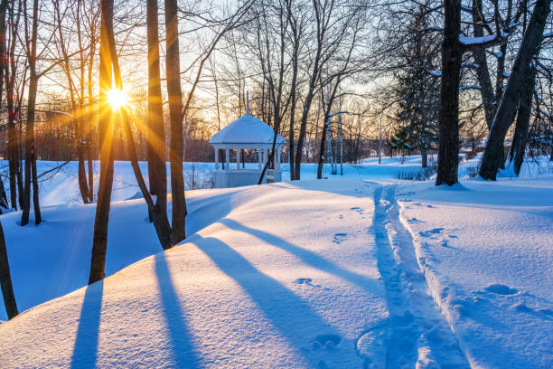 冬の田舎 - rural scene russia ski track footpath ストックフォトと画像