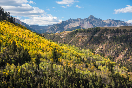 View of Mount Wilson and the Lizard Head Wilderness in the distance on the horizon. San Juan National Forest near Telluride, Colorado.