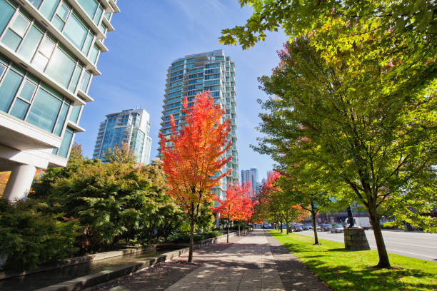 istock City in autumn, Vancouver, Canada 1073477204