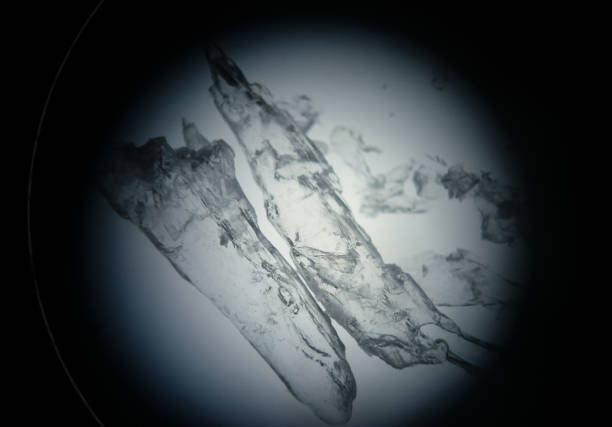 istock Translucent drug crystals under the microscope for scientific research 1073482076
