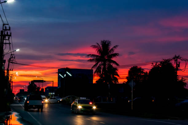 istock Sunset light behind the coconut trees and the road. 1073502786
