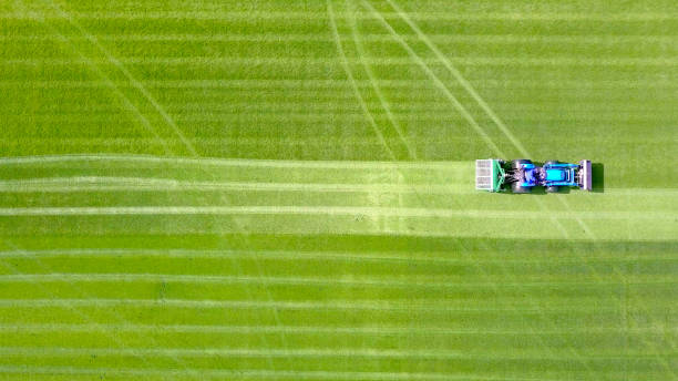 istock Large Lawn mower cutting green grass in a large flat field 1073517424