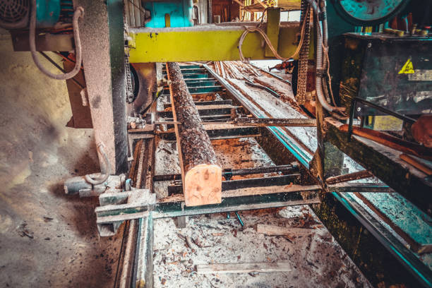 istock Sawmill. Process of machining logs in sawmill machine saws the t 1073538116